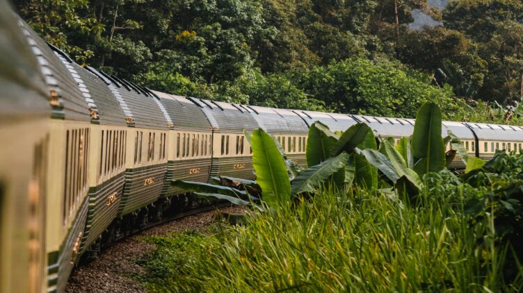 Eastern and Oriental Express Wild Malaysia 3 nätter