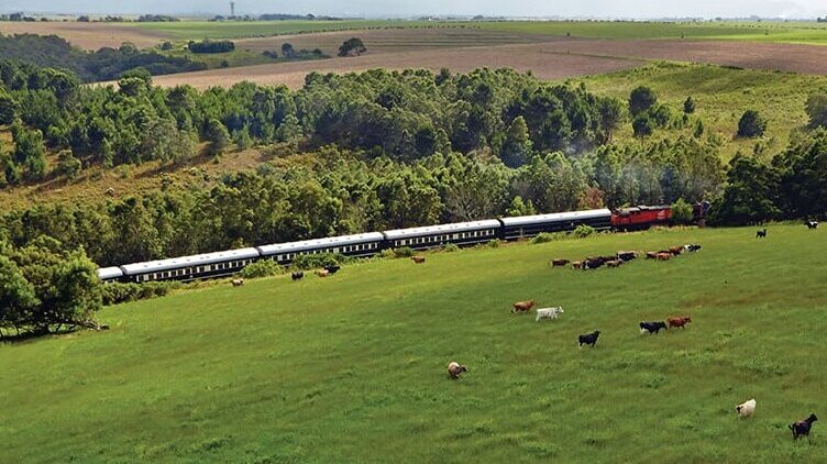 Rovos Rail Durban - Pretoria 2 nätter